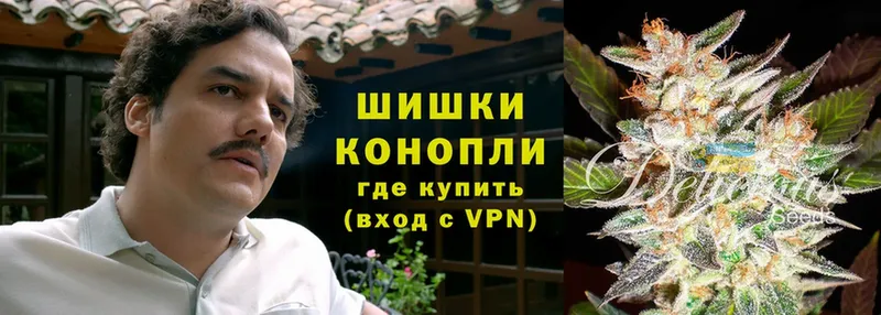 как найти закладки  Луга  OMG ONION  Бошки марихуана Ganja 